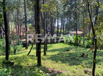 Terreno / Lote · 1000m² · Terreno en Venta - (4)
