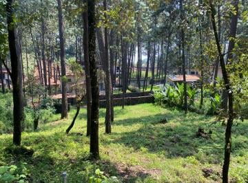 Terreno / Lote · 1000m² · Terreno en Venta - (4)