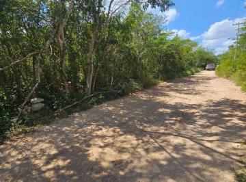 Terreno / Lote 4000m² Venta  · Inversionistas Terreno de 4000 m² en Venta, Chablekal, Yucatán
