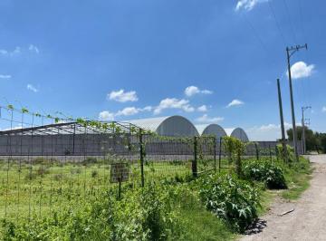 Terreno / Lote , Acolman · Terreno en Venta, Tepexpan, 2000 m² Superficie de Terreno