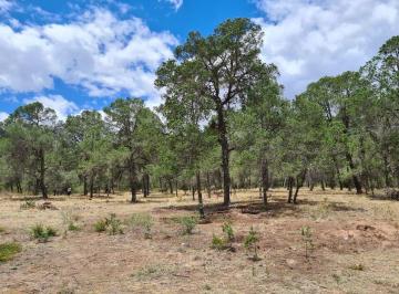 Terreno / Lote , Arteaga · Terreno en Venta en Huachichil
