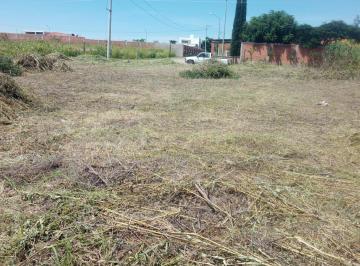 Terreno / Lote · 1000m² · Terreno en Venta en Santuario de Santa Rita
