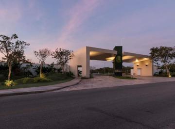 Terreno / Lote · 1166m² · Venta de Terreno en Jardines de La Rejoyada Komchen Mérida Yucatán