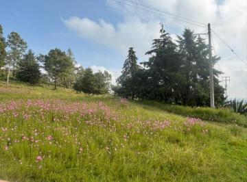 Terreno / Lote , Almoloya de Juárez · Se Vende Terreno en Amoloya de Juarez, Edo. Mex