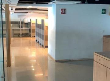 Oficina · 481m² · Oficina Renta Insurgentes 481 m² Piso 1