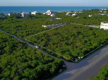 Terreno / Lote , Telchac Puerto · Terreno con 100 m Sobre Carretera, Km²5 Chicxulub - San Benito.