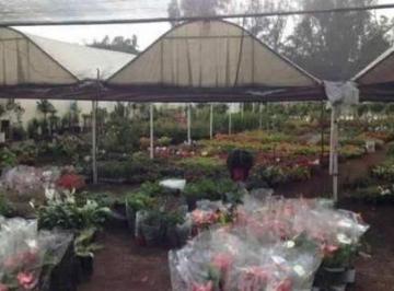 Terreno / Lote · 11727m² · Terreno en Venta en Xochimilco