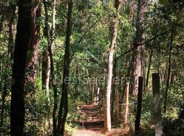 Terreno / Lote , Valle de Bravo · Terreno de 8 Ha de Bosque, Super Oportunidad