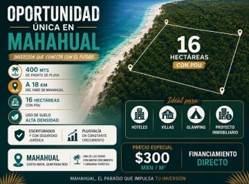 Terreno / Lote · 160000ha · Venta Terreno en Av Huayacan 1,376 m²