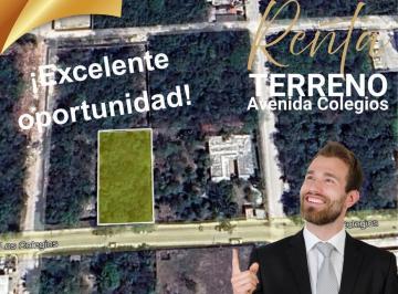 Terreno / Lote · 1m² · Terreno Av Colegios 1,250 m²