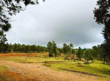 Terreno / Lote , Tapalpa · Terrenos a Solo 6 Km de Atemajac de Brizuela, Tapalpa