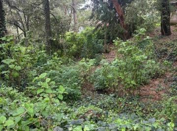 Terreno / Lote · 250m² · Terreno en Fraccionamiento Real Monte Casino