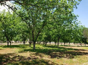 Terreno / Lote , Arteaga · Terreno en Venta en Residencial La Joya II