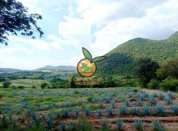 Terreno industrial , Villa Corona · Terreno con Varios Usos en Potrero Las Lomas en Villa Corona, Jalisco
