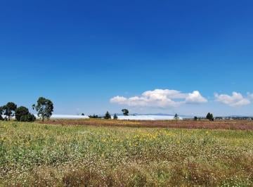 Terreno / Lote · 93000m² · Venta de Terreno en Encinillos, Acatlán
