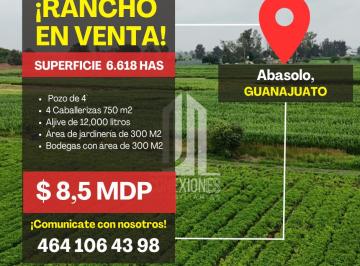 Rancho de 3 habitaciones, Abasolo · Rancho en Venta, Palo Dulce, Abasolo Guanajuato