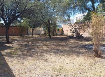 imagenPortal · Terreno / Lote en Venta en Barrio de La Salud, Aguascalientes