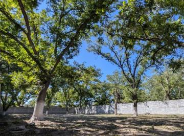 Huerta , Parras · Huerta con 1764 m² Superficie de Terreno en Venta, Parras de La Fuente Centro