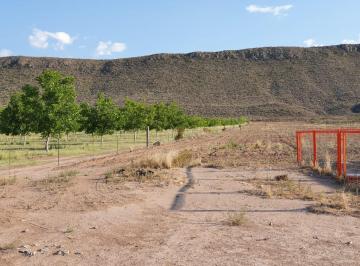 Terreno / Lote · 150000ha · Terreno en Ejido Narigua