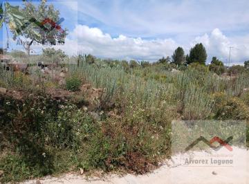 Terreno / Lote · 495m² · Terreno en Pueblo Santa Mónica