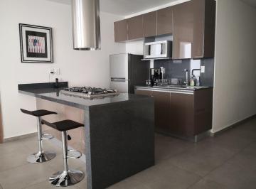 Departamento de 1 habitación, Miguel Hidalgo · Renta de Departamento en Ampliacion Granada Miguel Hidalgo