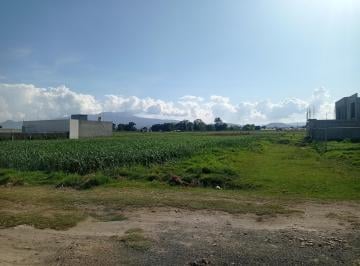 Terreno / Lote · 224m² · Terreno en Venta en Privada San Miguel Toto Metepec