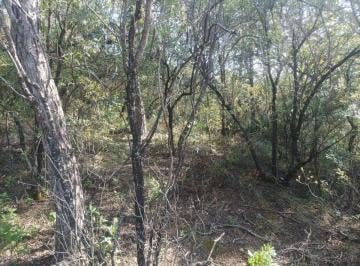 Terreno / Lote , Arteaga · Lote de Terreno en Fracc. La Herradura