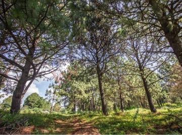 N/A · Terreno en Venta en Real de Encinos, Tapalpa, Jalisco.