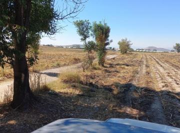 Terreno / Lote , Tala · Terreno 10000 m² en Venta, Cerca de San Isidro Mazatepec
