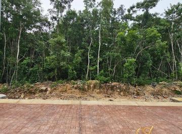 Terreno / Lote , Benito Juárez · Terreno en Venta Residencial Altaí