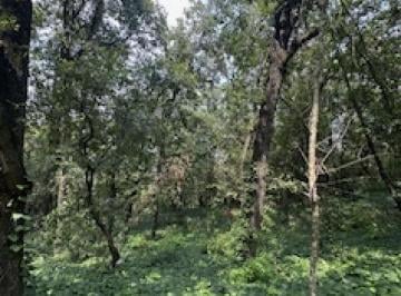 Terreno / Lote · 1520m² · Terreno Venta Olinala