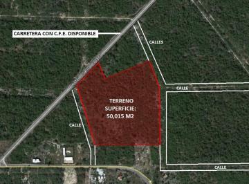 Terreno / Lote · 50015m² · 5 Hectáreas a Pie de Carretera a Solo 8 Km de La Carretera a Progreso en Linera Recta