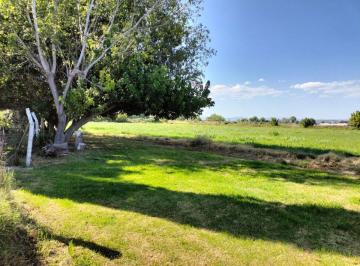 Terreno / Lote 10000m² Venta El Pueblito · Terreno Escriturado, Uso Habitacional, Actualmente Se Cultiva