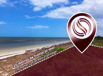 Terreno / Lote , Yobaín · 20 m Frente Al Mar, Terreno Unifamiliar en Venta, Santa Clara, Yucatán.