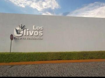 Terreno / Lote , Aguascalientes · Vendo 2 Terrenos Juntos en Los Residencial Los Olivos de 200 m Juntos o por Separad0 $8700 por m