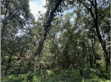 Terreno / Lote · 1529m² · Venta Terreno Olinala San Pedro