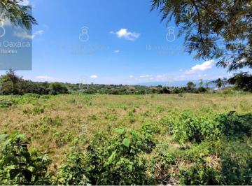 Terreno / Lote · 200m² · Terreno en Pueblo Santos Degollado Etla