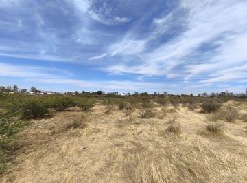 Casa · 1000m² · 1 Recámara · Terreno Colinas del Sur, Silao, Gto. - (4)