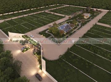 Terreno / Lote · 290m² · Terreno / Lote en Venta en Yaxkukul