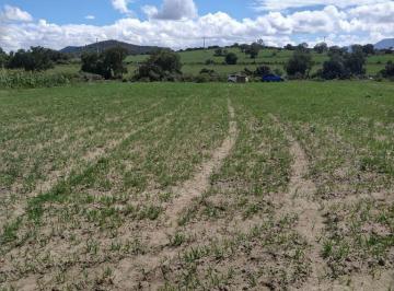 Terreno / Lote , Axapusco · Se Vende Terreno Plano