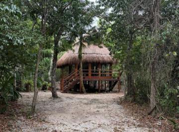 Terreno / Lote , Puerto Morelos · Venta de Cenote con 4 Hectáreas y Cabañas Ruta de Los Cenotes