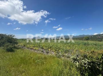 Terreno comercial · 84239m² · Venta de Parcela en Buenavista, Querétaro - (4)