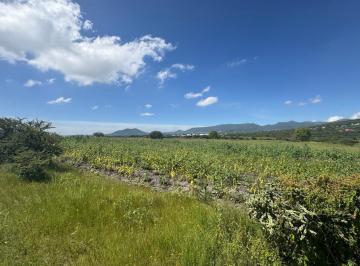 Terreno comercial · 84239m² · Venta de Parcela en Buenavista, Querétaro - (4)