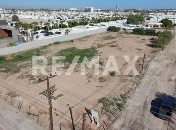 Terreno comercial · 16000m² · Calzada Cetys, Entre Fraccionamientos Aurea y Duara, Terreno en Renta. - (4)