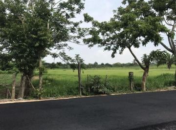 Terreno / Lote · 40000m² · Terreno en Venta, Carretera Barrancas - Tereftalatos, Cosoleacaque, Ver
