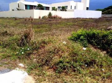 Terreno / Lote · 769m² · Terreno Residencial en Venta, Fraccionamiento Real de Palmas.