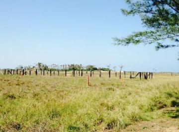 Terreno / Lote · 200m² · Renta de 2 Terrenos en Predio San Joaquín