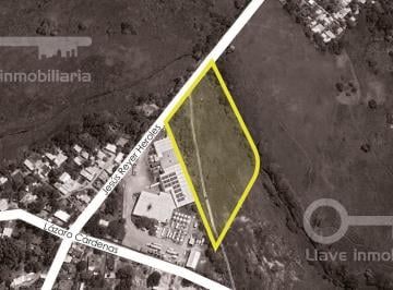 Terreno / Lote · 20000m² · Venta de Terreno Comercial de 2 Hectáreas en Carret. Zaragoza - Mina, Col. San Pedro Mártir, Cosolea