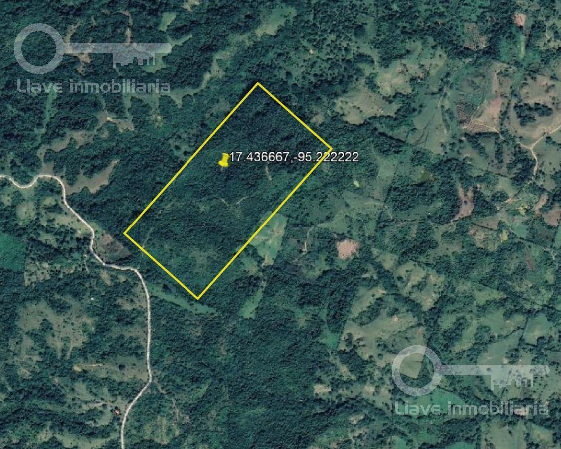 Terreno - San Juan Cotzocón