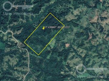 Terreno / Lote · 500000m² · Terreno - San Juan Cotzocón